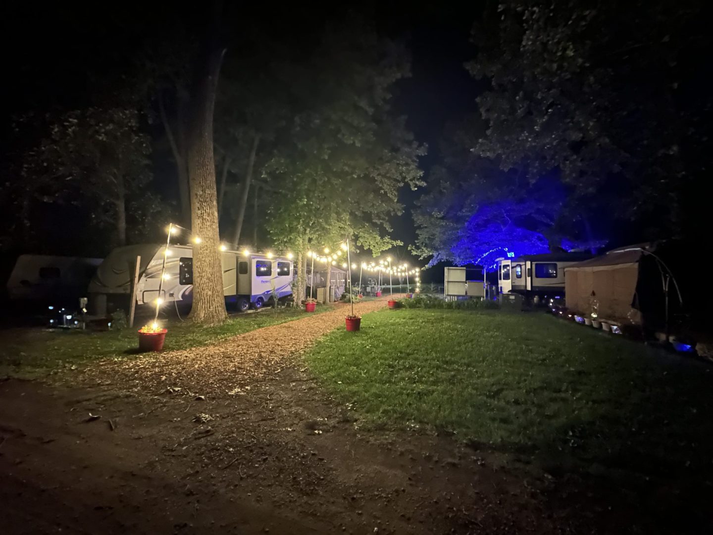Tree-lined campground path with illuminated RV campsites at night.